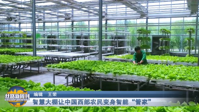《丝路新周刊》|科技建造推动行业转型升级 “机器人建房”走进现实(图4) 《丝路新周刊》|科技建造推动行业转型升级 “机器人建房”走进现实(图4)