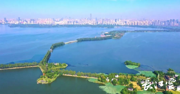 湖北11个项目获中国建筑业奥斯卡(图6)