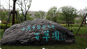 上海这些工业旅游点上新啦！你都打卡过了吗？(图9)