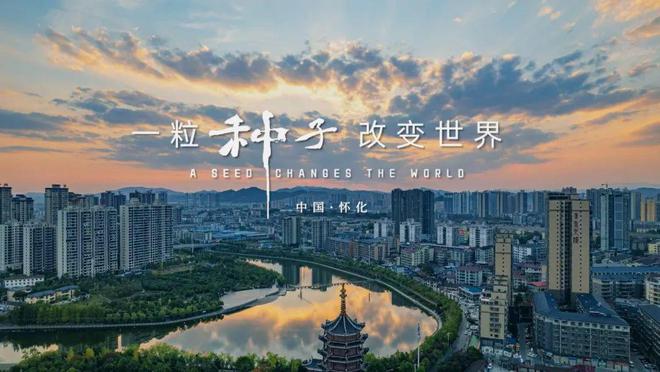 国家级荣誉!怀化这些集体和个人上榜(图2) 国家级荣誉!怀化这些集体和个人上榜(图2)