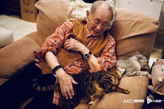 黄永玉艺术生命的最后一程：如此不拘法度、如此浓郁斑斓(图11)