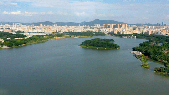 中建星光城)中建星光城官方售楼中心2024楼盘资讯直接认购(图12)