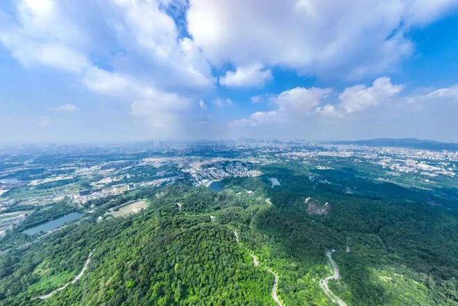 中建天河精诚壹号2024官方→中建天河精诚壹号值得买吗?一文读懂(图13) 中建天河精诚壹号2024官方→中建天河精诚壹号值得买吗?一文读懂(图13)