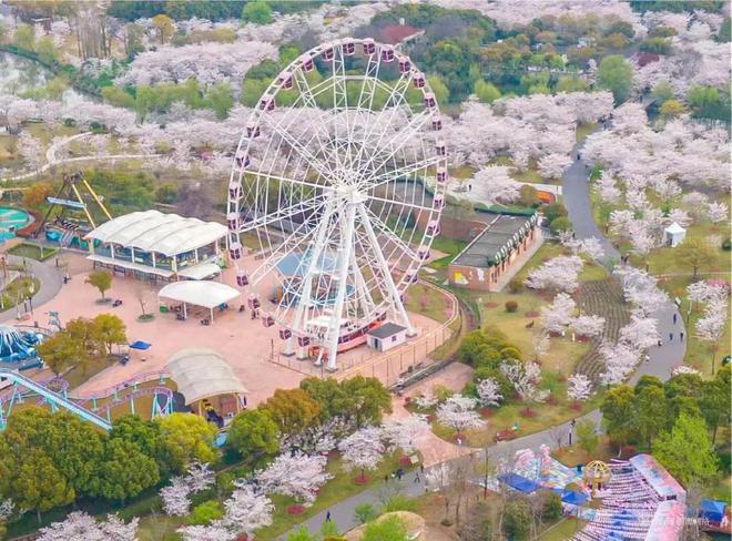 【官方2024最新】中建山水雅境售楼处电话-详情介绍-上海房天下(图20)