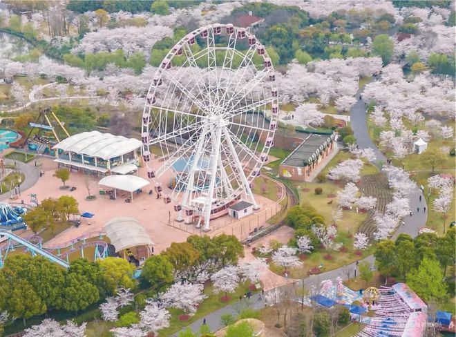 中建山水雅境2024官方网站-宝山中建山水雅境官方楼盘详情-房天下(图10)