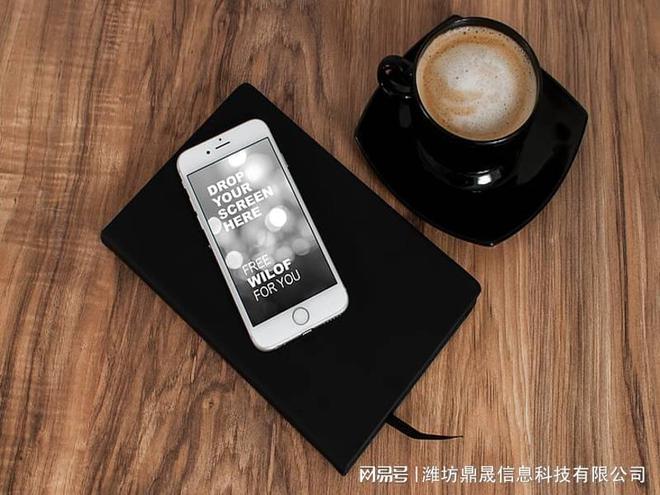 家纺网站建设方案书