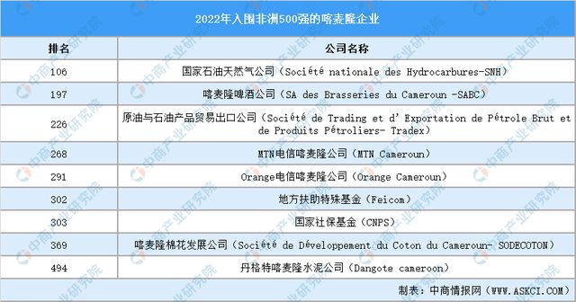 2024年喀麦隆投资环境深度分析及中资企业在喀麦隆投资合作策略(图5) 2024年喀麦隆投资环境深度分析及中资企业在喀麦隆投资合作策略(图5)