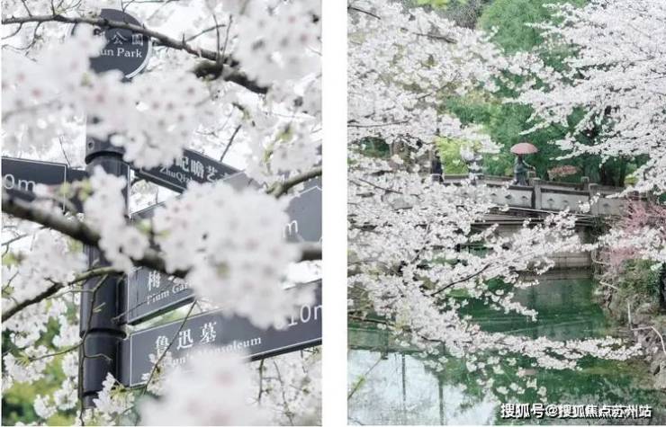 中建虹悦里(售楼中心)首页网站-中建虹悦里欢迎您丨户型配套样板间价格(图19) 中建虹悦里(售楼中心)首页网站-中建虹悦里欢迎您丨户型配套样板间价格(图19)