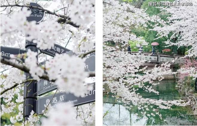 2025中建虹悦里(中建虹悦里)官方网站--房天下(图8) 2025中建虹悦里(中建虹悦里)官方网站--房天下(图8)