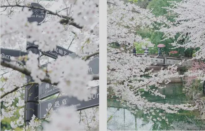 中建虹悦里2025官方网站-中建·虹悦里＋户型配套＋房价＋楼盘测评(图6)